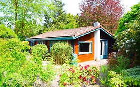 Sfeervol Houten Huis I Bosrijk Veluwe